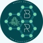 @buenasraicesoficial