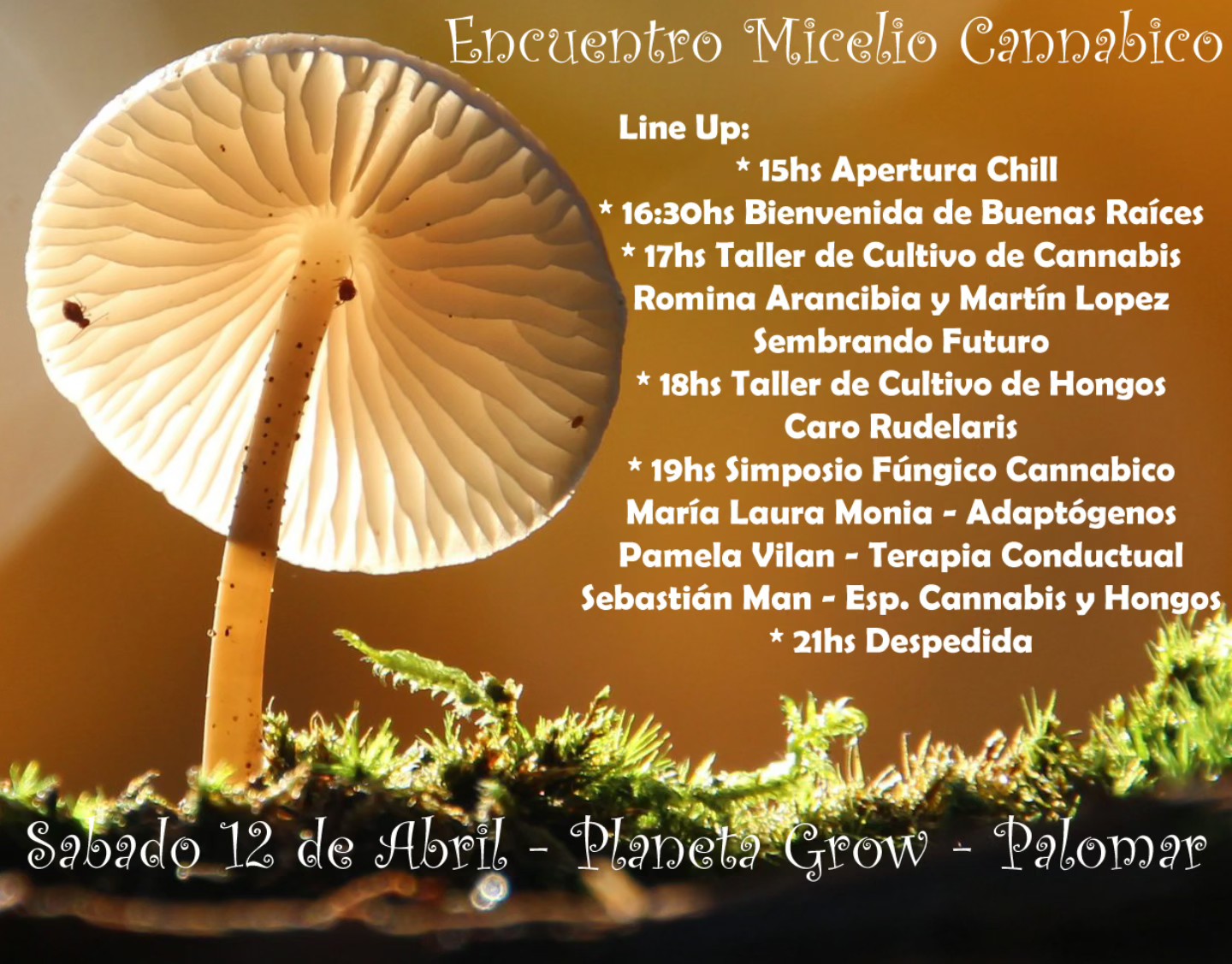 Que orgullo la llamada del Micelio que hizo brotar este equipazo de información que abarca todos los puntos del Reino de los Hongos y las Plantas Maestras.
Una jornada Libre y Gratuita organizada por la Asociación Civil Buenas Raíces en el mítico Planeta Grow, refugio de un lugar excepcional para nutrirse de información mientras se disfruta de una bebida entre volutas de humo dulce.
Música e información.
Sonrisas con una vibración elevada de conciencia.
Cuerpo, mente y alma nutriéndose de lxs mejores profesionales.
La lluvia nos alimenta. No sé suspende por ver caer un poco de agua del cielo.
Baños y acceso para personas con movilidad reducida. Nadie se queda afuera.
Lxs esperamos desde las 15.
Ing. Guillermo Marconi 566, B1684 El Palomar, Provincia de Buenos Aires