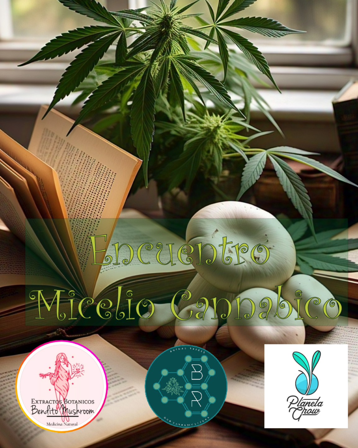 Estamos encantados de invitarles a una tarde que dimos en llamar “Micelio Cannábico”
La Asociación Civil Buenas Raíces en colaboración permanente con Planeta Grow y Bendito Mushroom, presentan una nueva jornada de acceso libre y gratuito donde vamos a estar “Explorando los Beneficios de la Naturaleza: Cannabis, Hongos Adaptógenos y Psilocibes"
Bienvenidxs a esta jornada de información, donde exploraremos las propiedades y beneficios de tres sustancias naturales que han sido utilizadas durante siglos en diversas culturas.
Contaremos con un panel de expertos que nos harán un recorrido sobre las "Propiedades y Beneficios de la planta de Cannabis", otra charla sobre "La Ciencia detrás de los Hongos Psilocibios y su Potencial Terapéutico" así como una última disertación sobre "El Poder de los Hongos para la Salud y el Bienestar" como introducción a los hongos adaptógenos fomentando el diálogo y la discusión entre expertos y asistentes con la clara intención de promover la educación y la conciencia sobre el uso responsable y sus beneficios potenciales.
También te vamos a enseñar los aspectos básicos del Cultivo de Cannabis, Extracción y Dosificación, así como el Cultivo de Interior para Hongos Cubensis.
Y que mejor que disfrutar de tanta información en el más bello lugar, como es la energía que posee @planetagrowarg
Venite a recorrer los productos del dispensario Cannábico de @buenasraicesoficial para llevarte tu tratamiento y mejor si actúan en sinergia con el despliegue de plantas y hongos adaptógenos del dispensario de @benditomushroom
Lxs esperamos el próximo Sábado 12 de Abril para compartir experiencias entre volutas de humo dulce desde las 15 hasta las 20 en Guillermo Marconi 566, El Palomar – Buenos Aires.