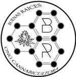 Asociación Civil Buenas Raíces